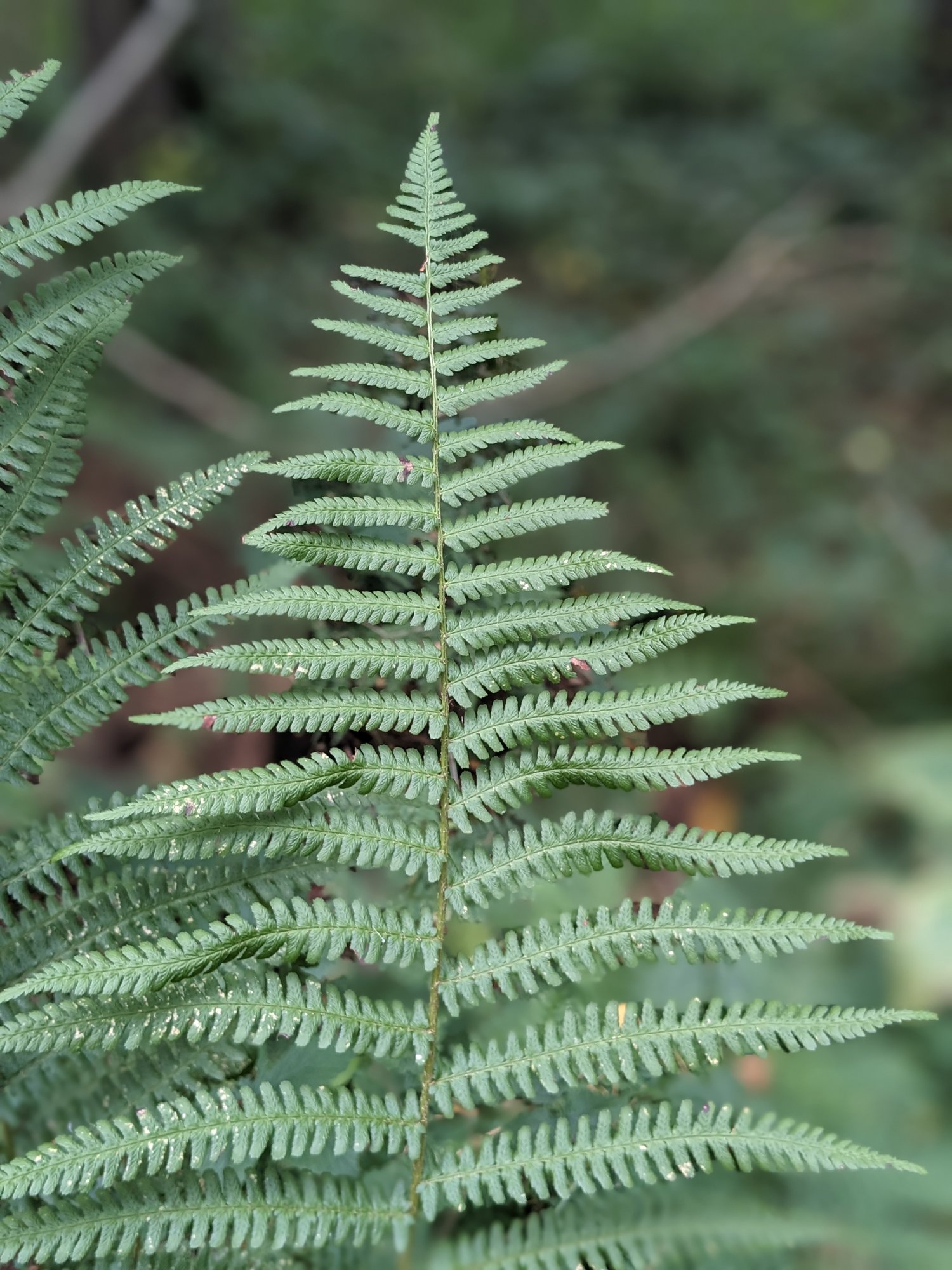 PXL_20240929_094211543.PORTRAIT